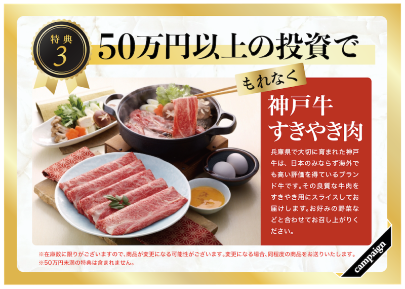 CAMEL特典