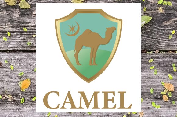 不動産クラウドファンディング　CAMEL（キャメル）